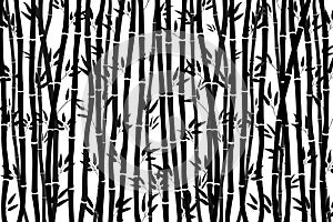 Abstract background - bamboo forest. Black drawing of bamboo stalks on a white background. Vector illustration