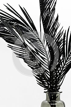 Abstract background of black painted cycad leaves