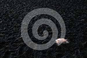 Abstract background of the Black-Sand beach of Reynisfjara, Iceland