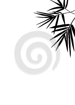 Abstract background with black shadows leaf bamboo tree, and nature elements illustration depicting a tranquil garden scene