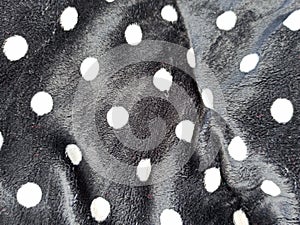 Abstract background black silk fabric with waves white dot luxury cloth or liquid wave or wavy folds of grunge