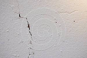 Abstract background blank space cement wall texture white cracked photo for background  Selectable focus