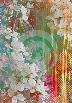Abstract background with blooming flowers and light rays and glare