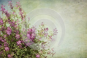 Abstract background of blooming wildflowers with copy space