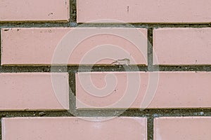 Abstract background, brickwork wall with seams