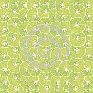 Abstract background with citrus-fruit of lemon slices