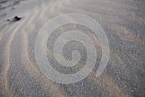Abstract background.Close up beach texture.Sand
