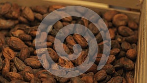 Abstract background of cocoa beans for making delicious dark chocolate falling down slow motion