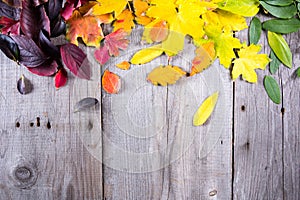 Abstract background of colourful autumn leaves