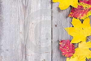 Abstract background of colourful autumn leaves