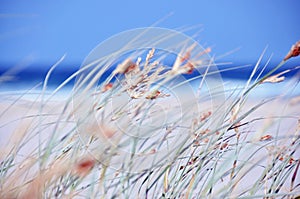 Abstract background concept day out beach ocean sea