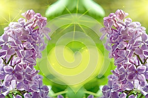 Abstract background for congratulation with flowers of lilaÃÂ wi