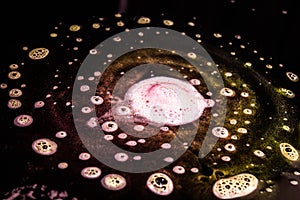 abstract background created with bubbles of various sizes on a dark background creating a similarity with galaxies.