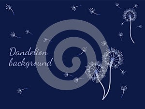 Abstract background dandelion design for decoration design.