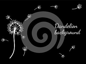 Abstract background dandelion design for decoration design.