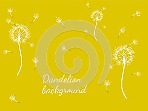 Abstract background dandelion design for decoration design.