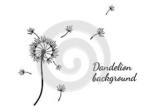 Abstract background dandelion design for decoration design.