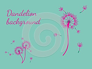 Abstract background dandelion design for decoration design.