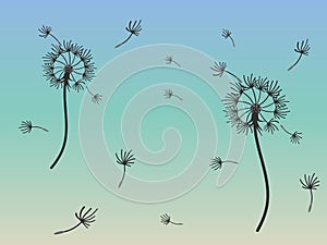 Abstract background dandelion design for decoration design.