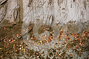 abstract background from different world coins thrown into the water