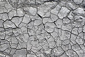 Abstract Background-dried cracked mud