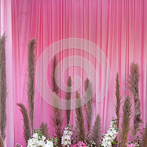 Abstract background of fabric pink