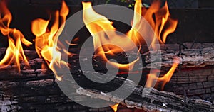Abstract background of fire, flame and wood logs.
