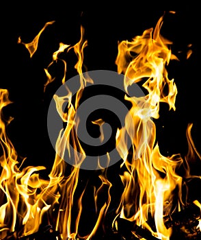 Abstract background. fire flames on a black background