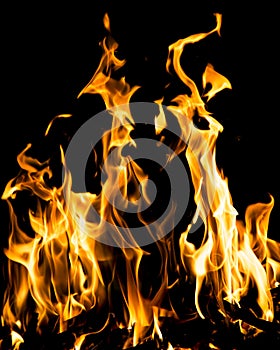 Abstract background. fire flames on a black background