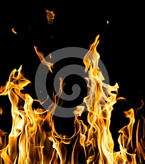 Abstract background. fire flames on a black background