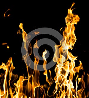 Abstract background. fire flames on a black background