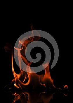 Abstract background with Fire texure Isolated