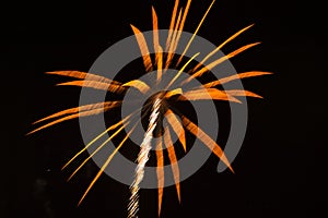 Abstract Background: Fireworks like Orange Palm Tr