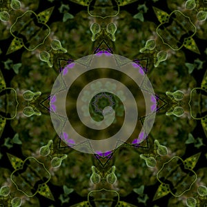 Abstract background of floral pattern of a kaleidoscope