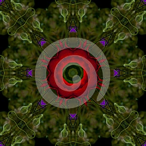 Abstract background of floral pattern of a kaleidoscope