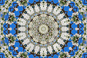 Abstract background of floral pattern of a kaleidoscope