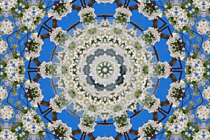 Abstract background of floral pattern of a kaleidoscope