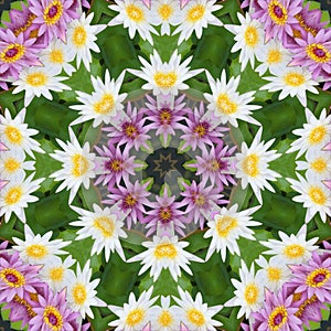 Abstract background of flower pattern of kaleidoscope. pink green background fractal mandala. kaleidoscopic arabesque