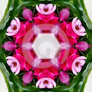 abstract background of flower pattern of kaleidoscope. pink green white mandala