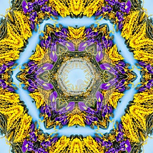 abstract background of flower pattern of a kaleidoscope. yellow purple green blue mandala