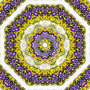 abstract background of flower pattern of a kaleidoscope. yellow purple green white mandala