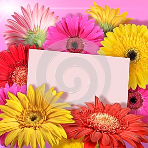 Abstract background of flowers