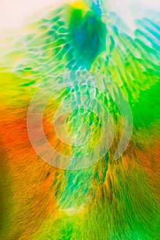 Abstract Background flowing color through milk