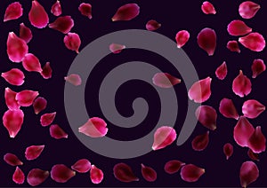 Abstract background with flying pink, red rose petals.