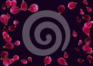 Abstract background with flying pink, red rose petals.