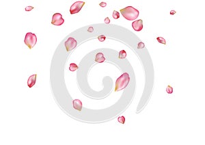 Abstract background with flying pink rose petals.