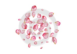 Abstract background with flying pink rose petals.