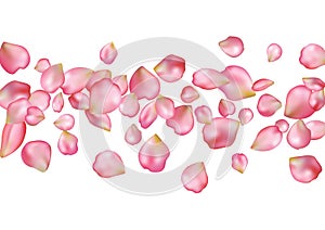 Abstract background with flying pink rose petals.