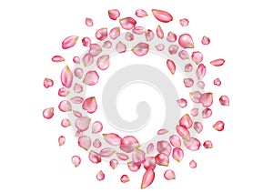 Abstract background with flying pink rose petals.