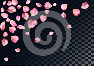 Abstract background with flying pink rose petals.